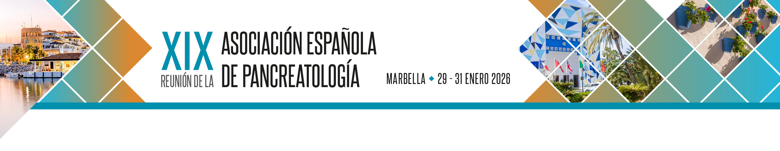 XIX Reunión de la Asociación Española de Pancreatología
