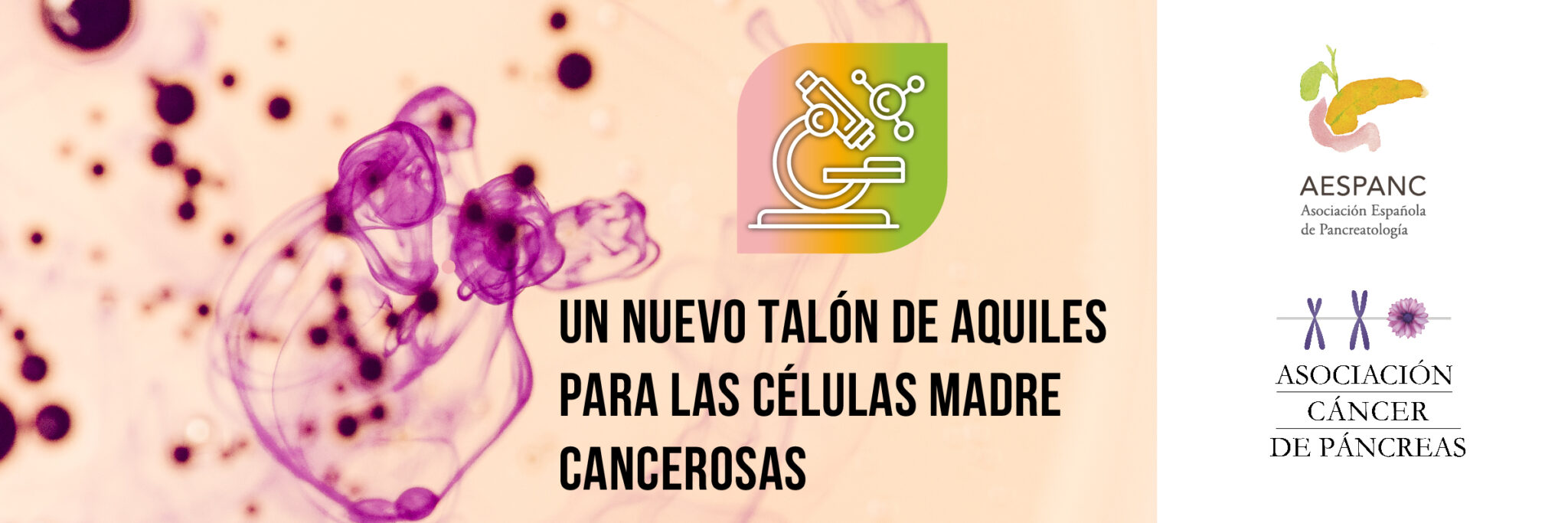Nuevo talón de Aquiles para las células madre cancerosas